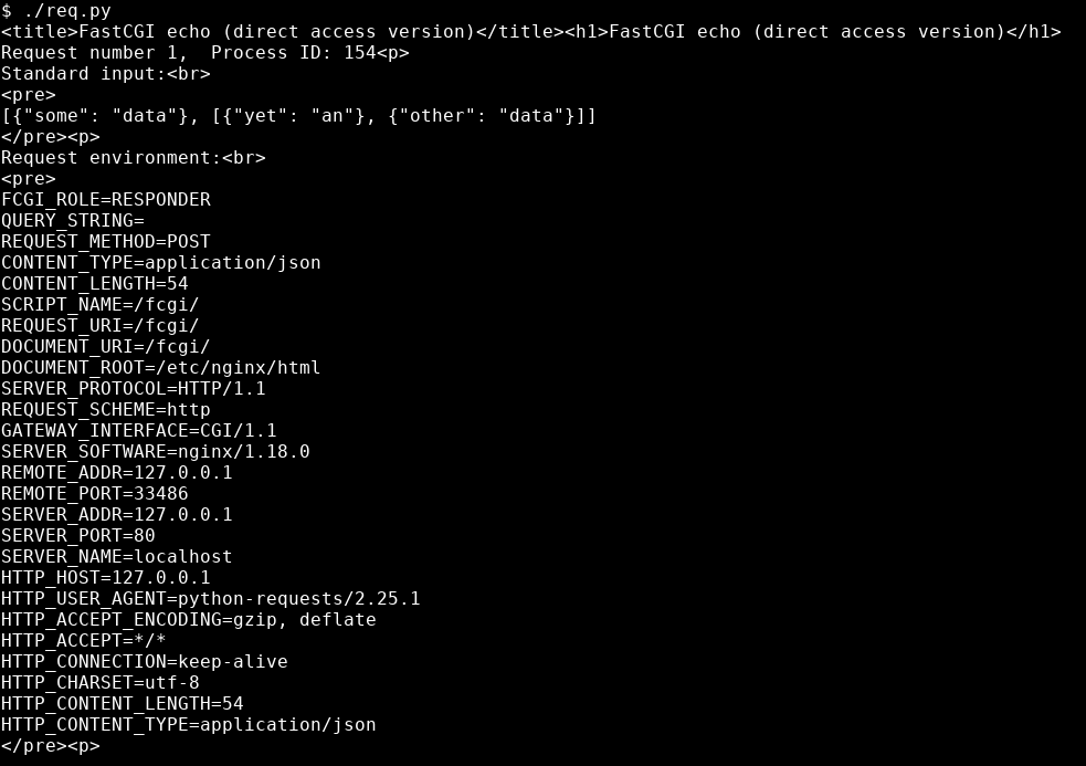 FastCGI echo with input content