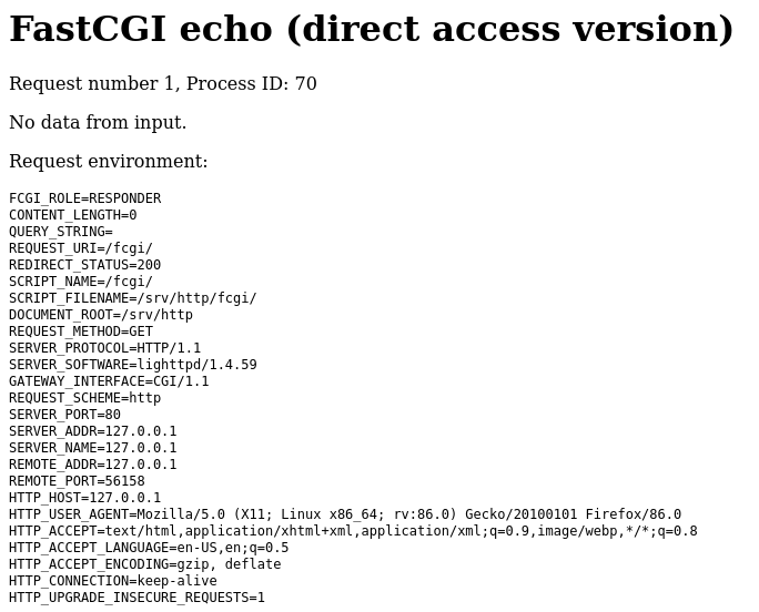 FastCGI echo